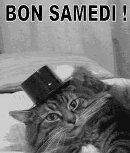 Gif animé Bon samedi chat